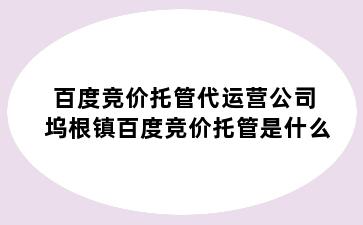 百度竞价托管代运营公司 坞根镇百度竞价托管是什么